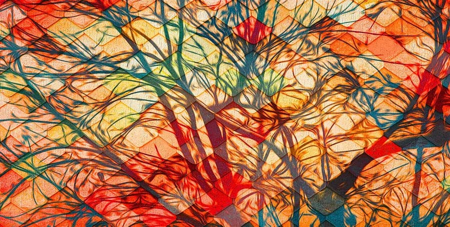 Whispers of Autumn: A Tapestry of Color and Light