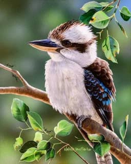 Kookaburra Charm