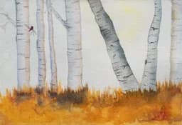 Autumn Serenade Among the Birches