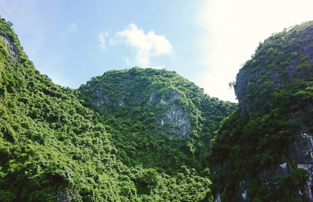 Emerald Peaks: A Serene Journey Through Lush Mountain Landscapes