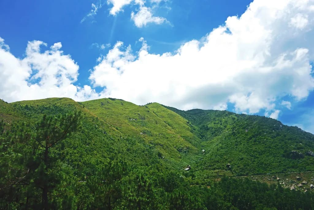 Whispers of the Green Hills: A Serene Landscape Under a Blue Sky