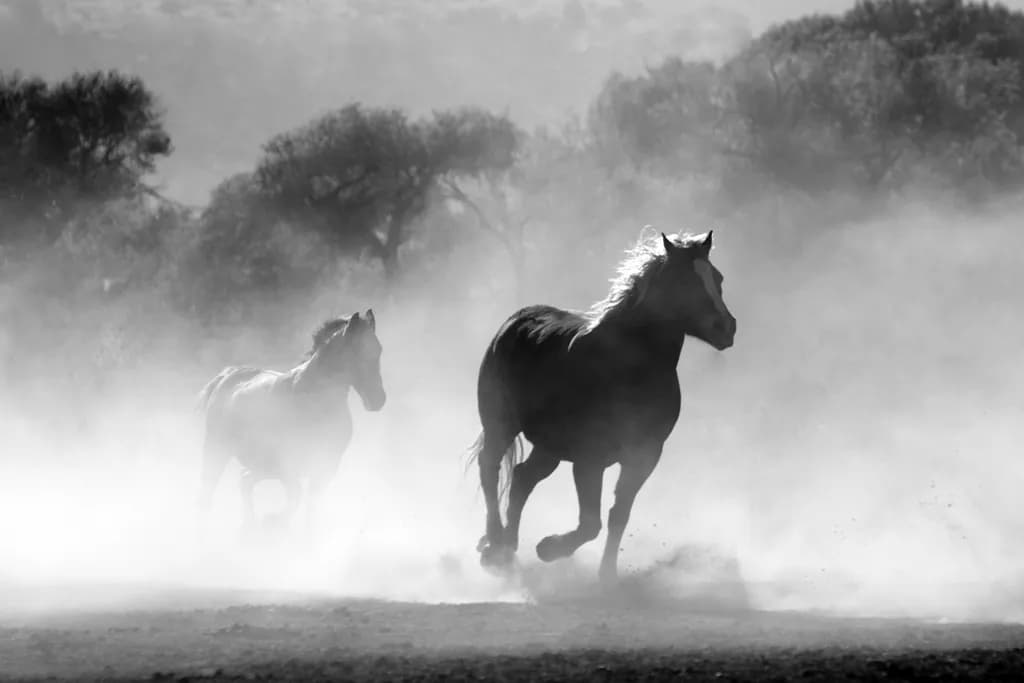 Wild Elegance: Horses in Motion Through Dusty Landscapes