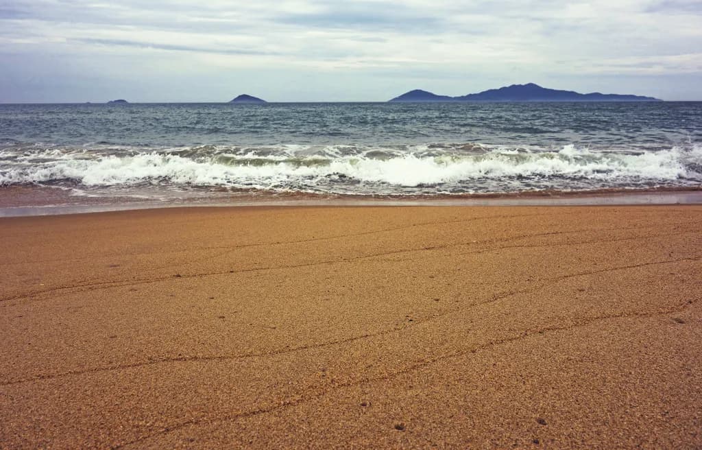 Whispers of the Shore: A Serene Beachscape at Dusk