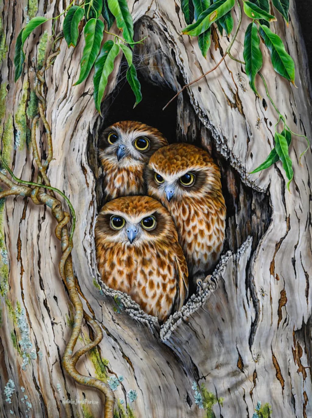 Owl Trio