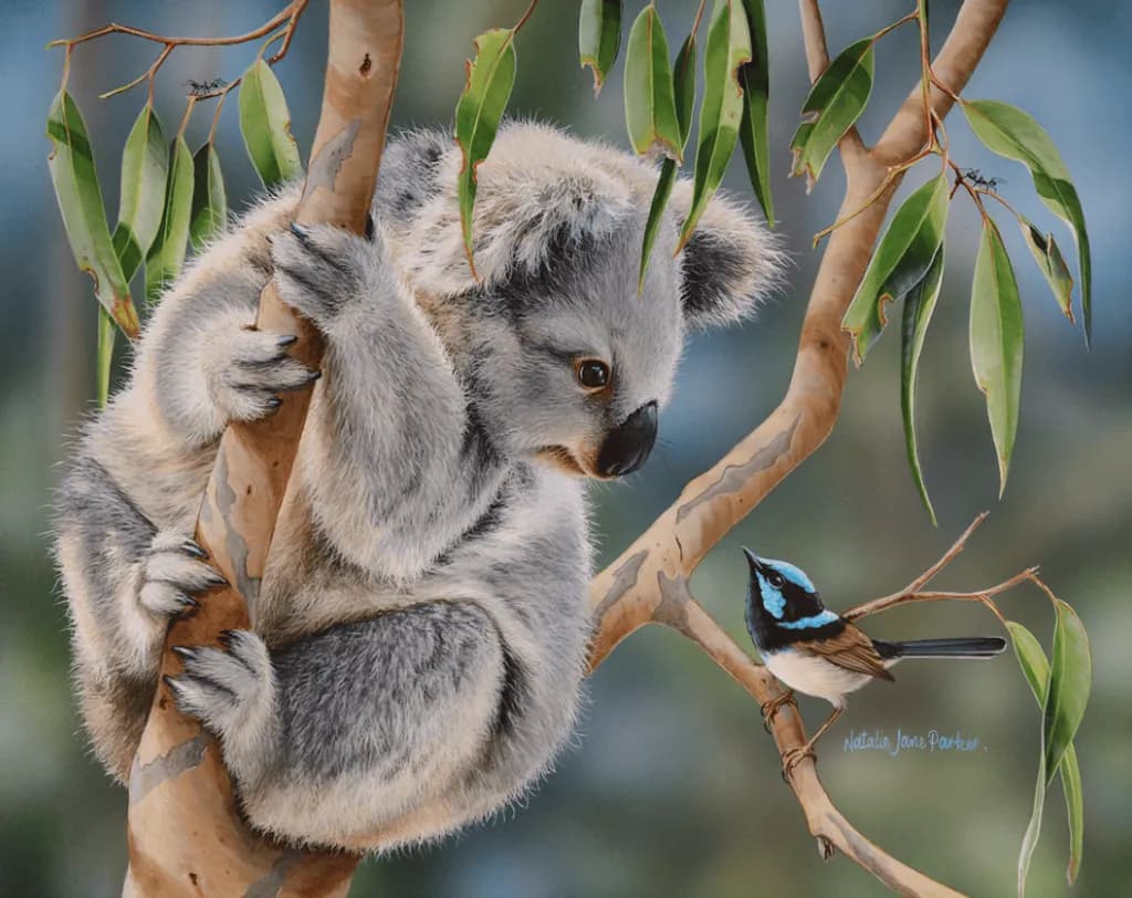 Koala Encounter