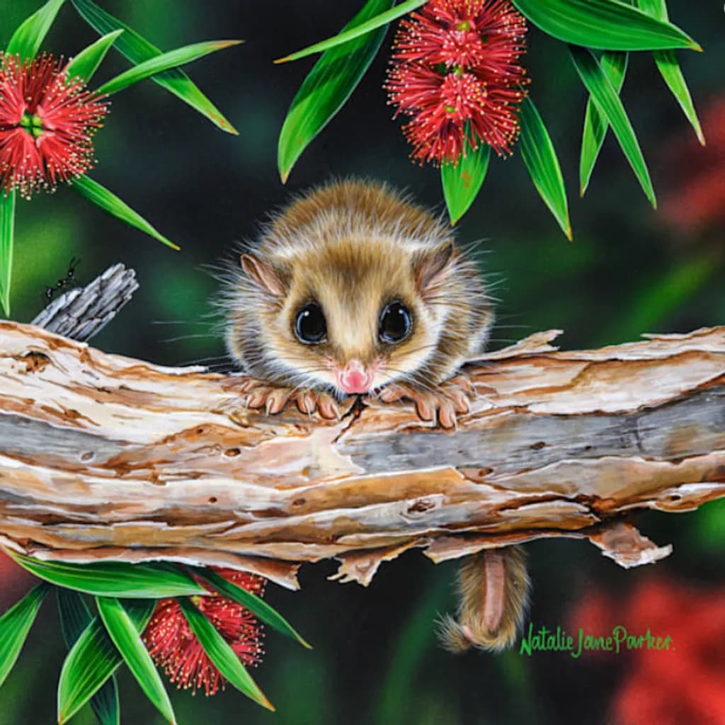 Curious Glider