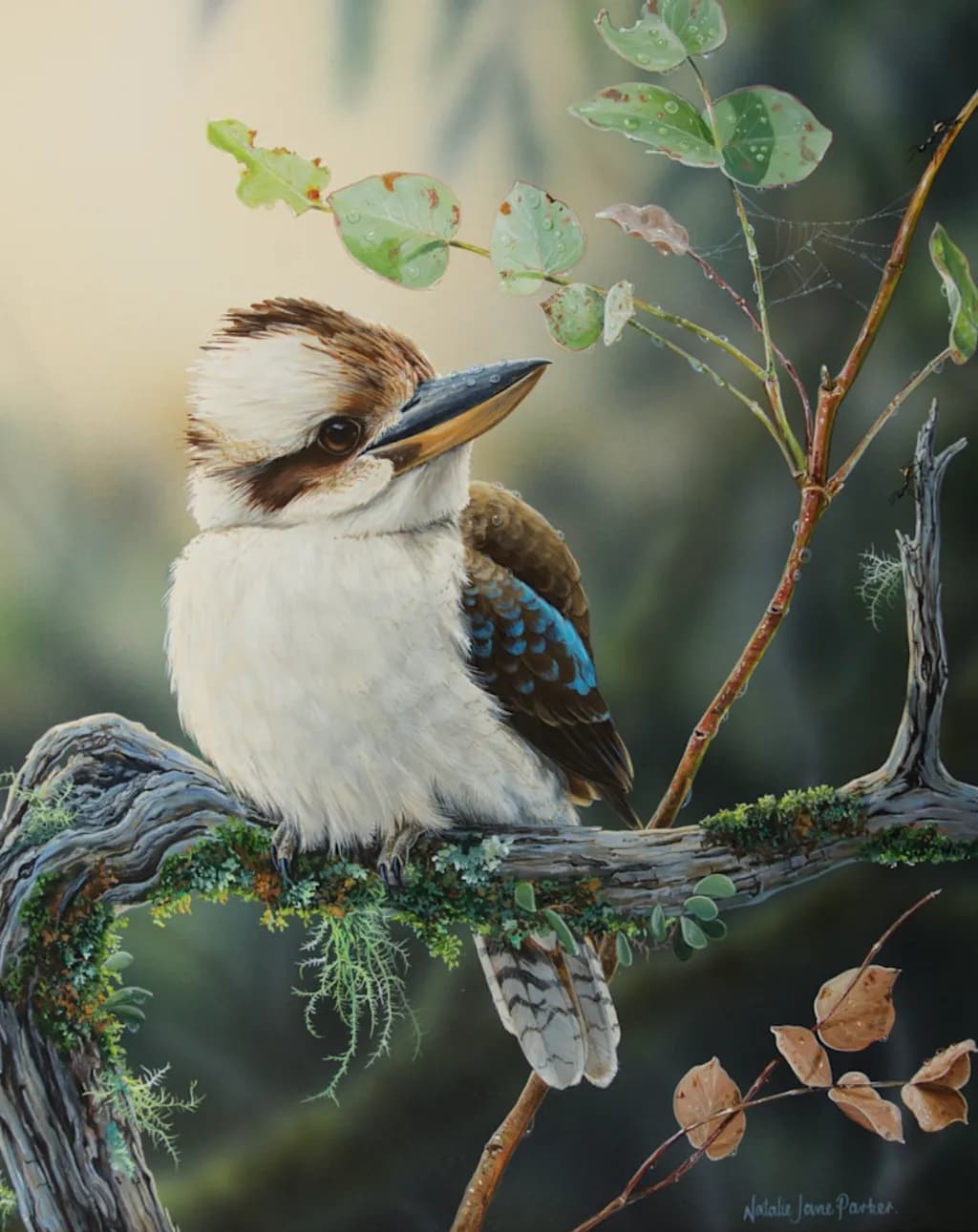 Watcher on the Branch
