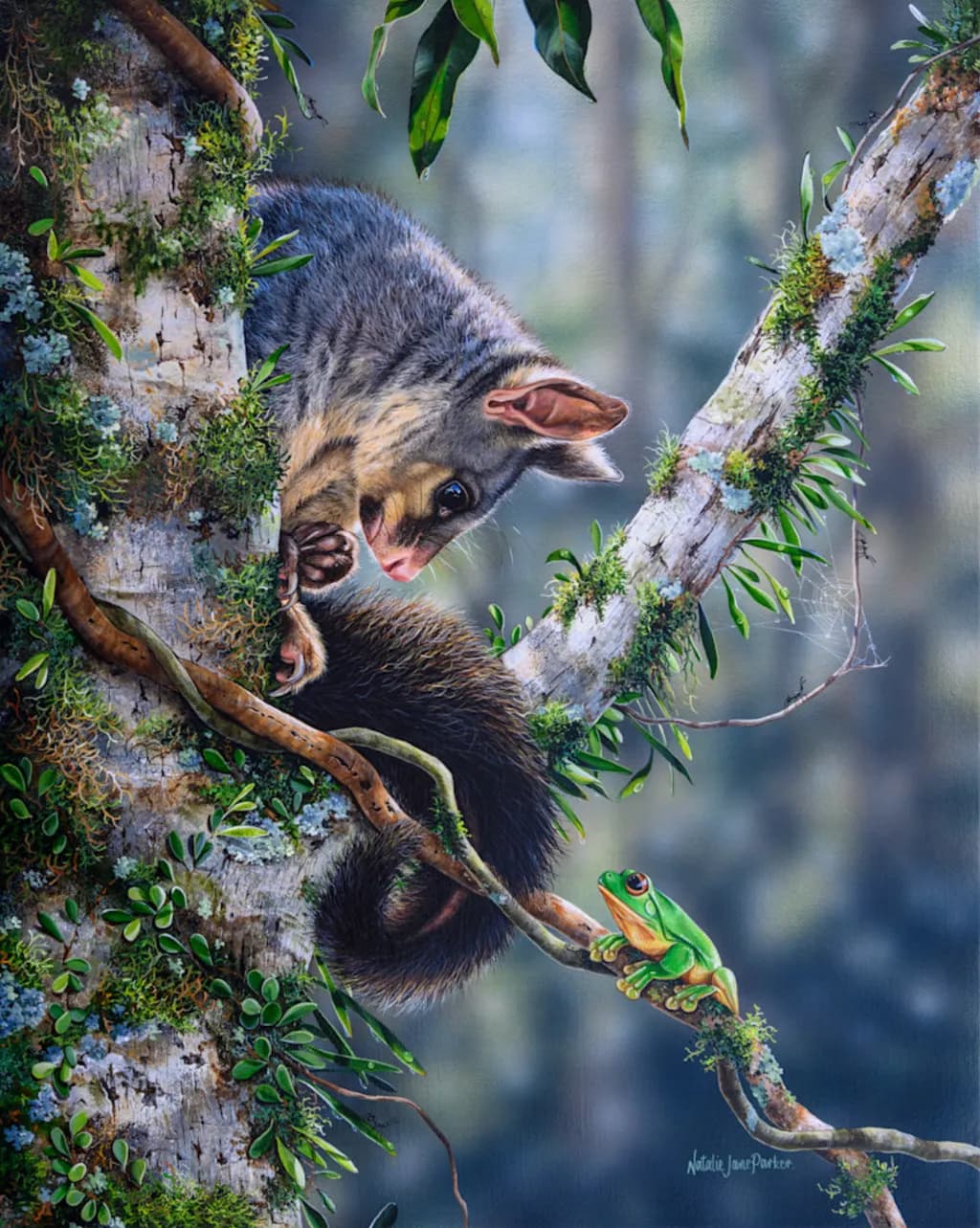 Curious Encounter