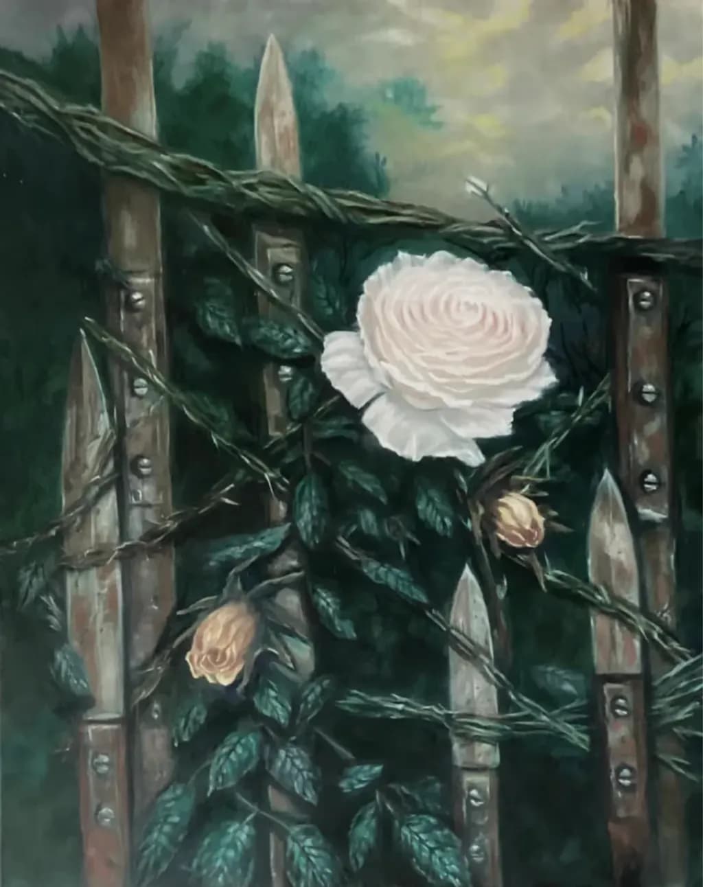Rose and Fence