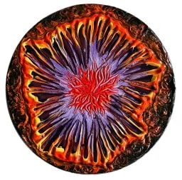 Hava Gurevich profile picture