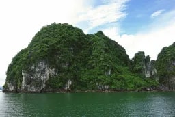 test123 test123 profile picture