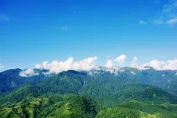 Filip6 Customer6 profile picture